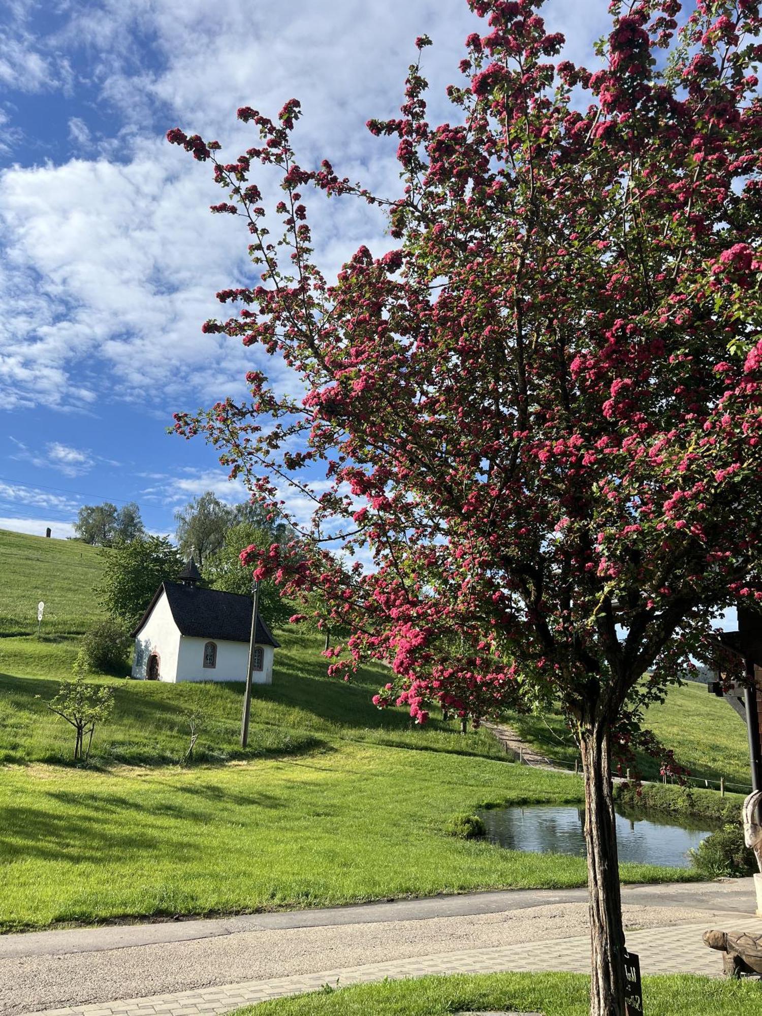 Kapellenhof Ferienwohnungen Triberg im Schwarzwald Zewnętrze zdjęcie
