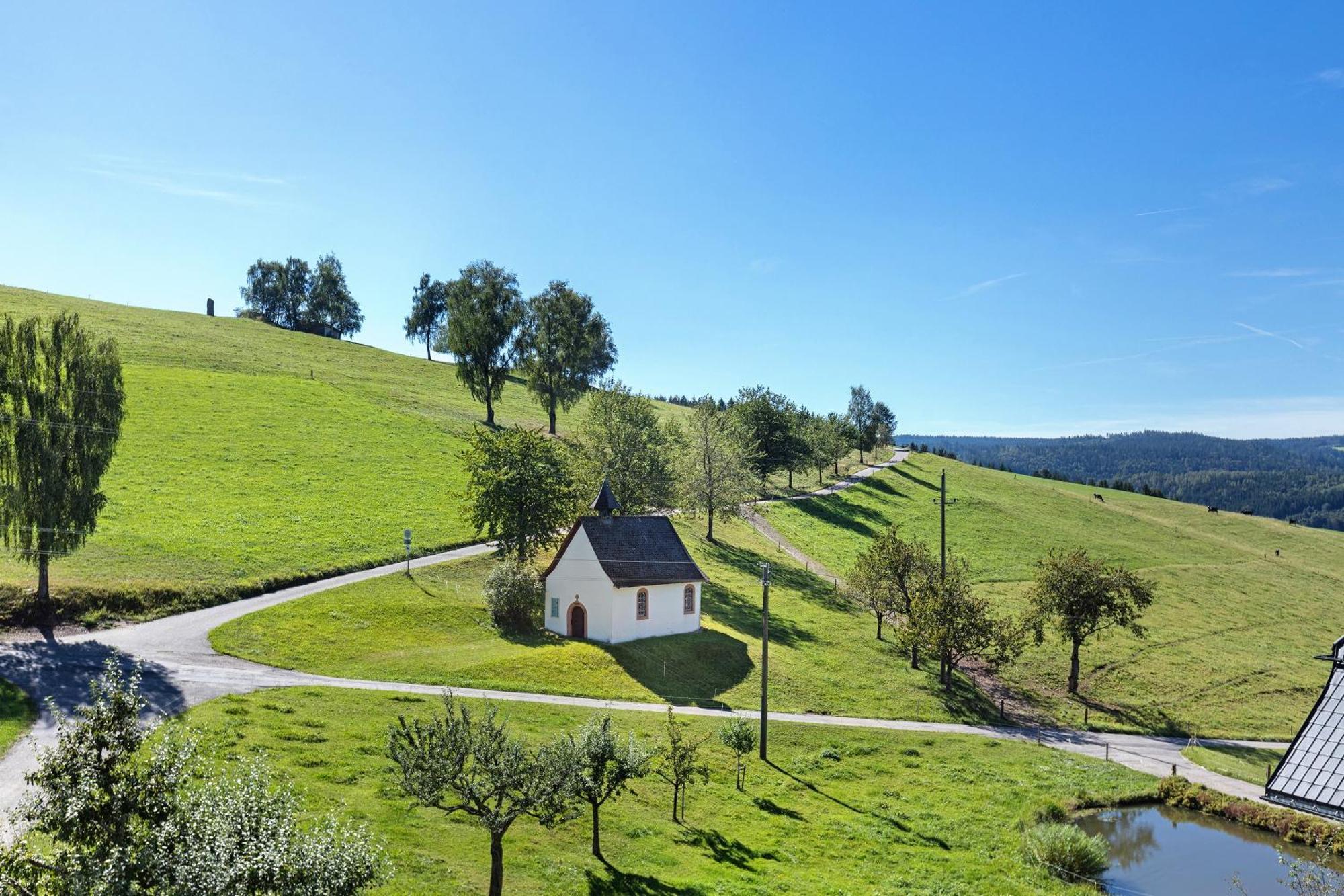 Kapellenhof Ferienwohnungen Triberg im Schwarzwald Zewnętrze zdjęcie